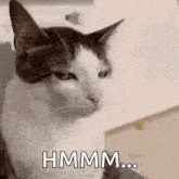 GIF uploaded by CHeeKy ORyZa