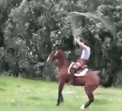 Horse Rearing with Rider in Field