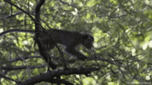 GIF uploaded by Kinzo
