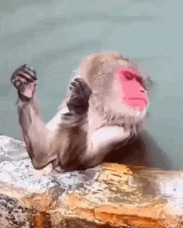 Mrandle Monkey Grooming Hand