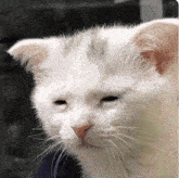 GIF uploaded by Fal