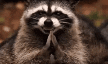 GIF diunggah ku May