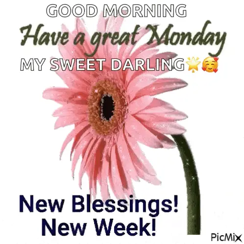 Happy New Week: Good Morning Monday – new memes meme GIF free download no watermark 2026