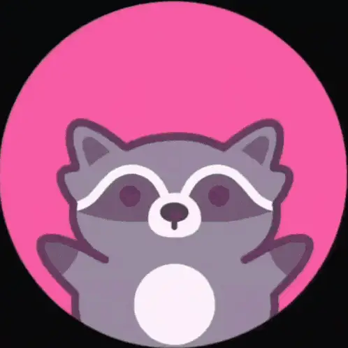Pedro Raccoon in Washing Machine