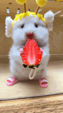 Hamster Naju Enjoys a Strawberry