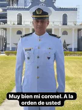 Oficial Realiza Saludo Militar