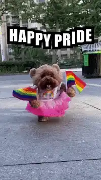 Happy Pride Dog in Pink Tutu
