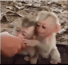 GIF uploaded by Paola