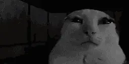 Goober Sad Cat Meme – dark memes meme GIF free download no watermark 2026