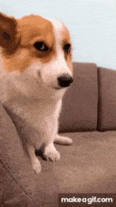Sha上传的GIF