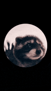 GIF geüpload door Maddie