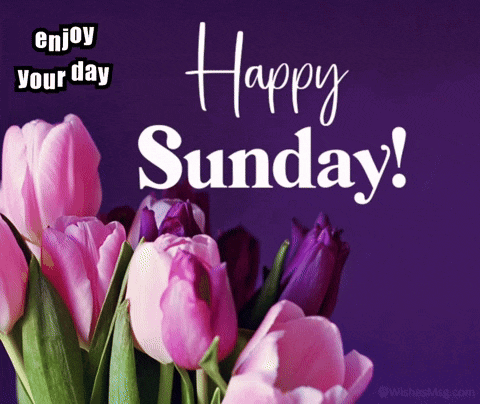 Happy Sunday