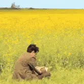 Mr. Bean Contemplating in a Field of Flowers
