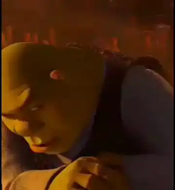 Yee Boy: Shrek's Subtle Smile