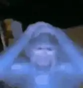 Monkey Anguish