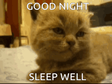 T3BjE1kqeGKKgemcCh.gif