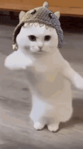 GIF