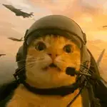 El Gato Piloto Cat