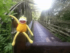 GIF