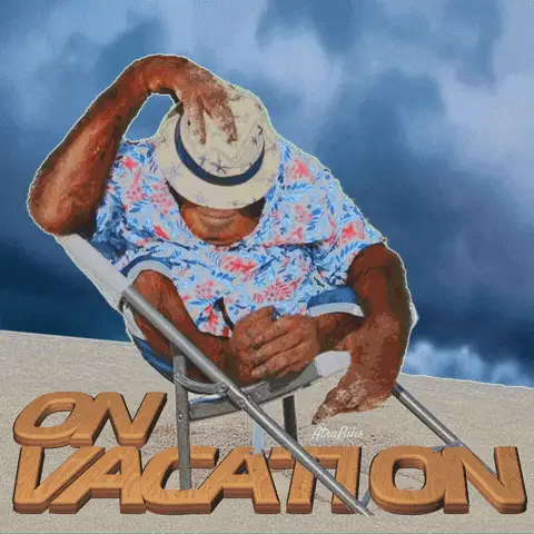 Funny Orangutan On Vacation