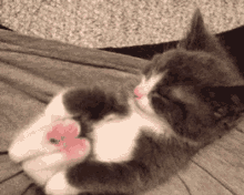 GIF