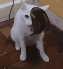 GIF آپلود شده توسط Brandon