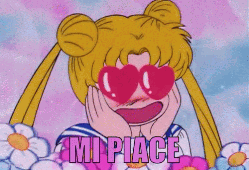 Sailor Moon: Mi Piace! Adoro, Fantastico!