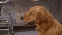 GIF uploaded by Chris