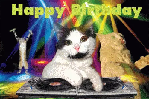Happy Birthday Cat DJ Wishes – birthday memes meme GIF free download no watermark 2026
