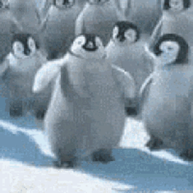 Funny Baby Penguin Dancing