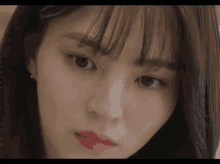 GIF 이미지