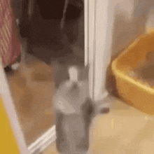 GIF