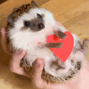 Cute Edgehog Hedgehog with Microsoft Edge Hearts