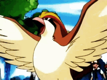 GIF