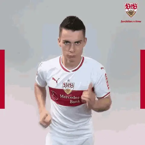 Erik Thommy: VfB Stuttgart Player