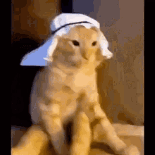 GIF