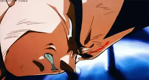 Vegeta Crying