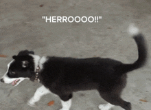 GIF diunggah ku Owen