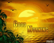 GIF uploaded by Celest