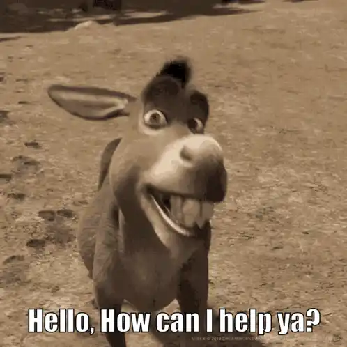 Donkey from Shrek: How Can I Help Ya?