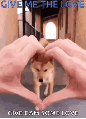 Dog Heart Hands: Give Cam Some Love