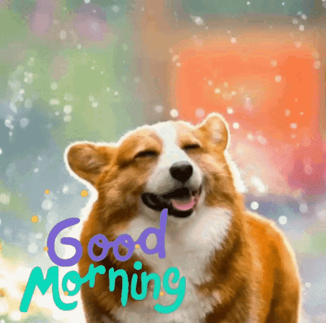 Good Morning Corgi Vajramotion