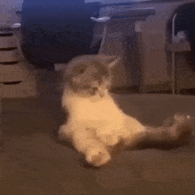 GIF