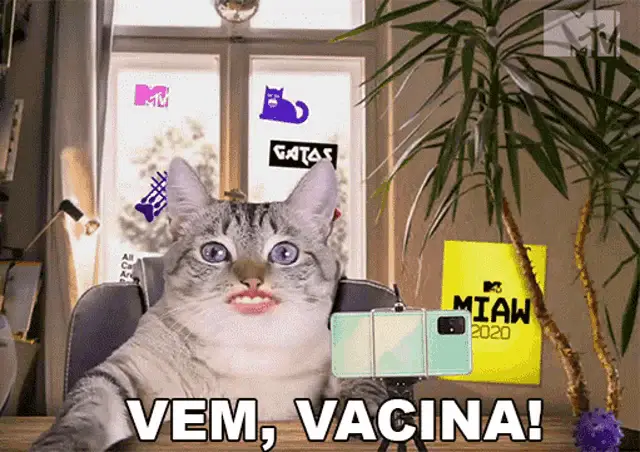Vem Vacina MTV Brasil: Gato Pede Vacina!