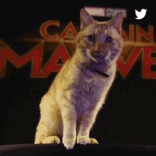 GIF uploaded by Bharath