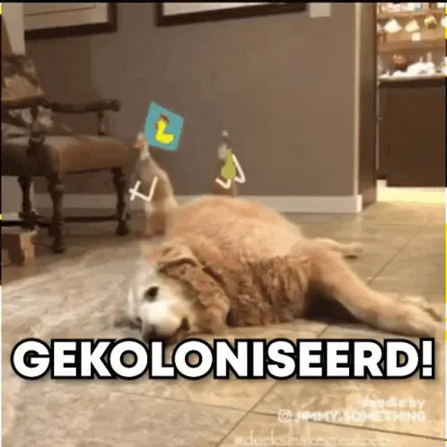 Eenden Ducks Gekoloniseerd!