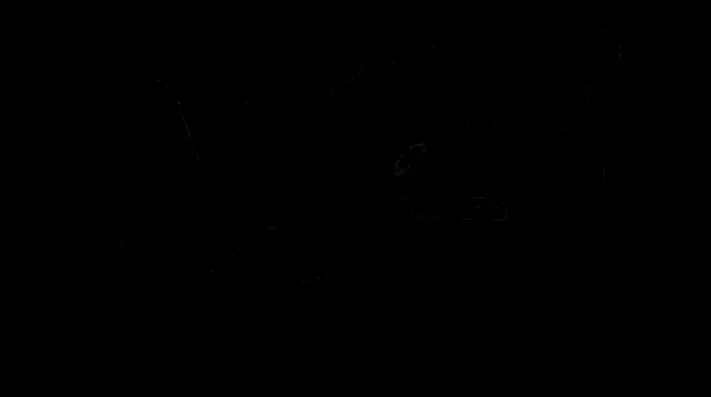 MG Logo Animation