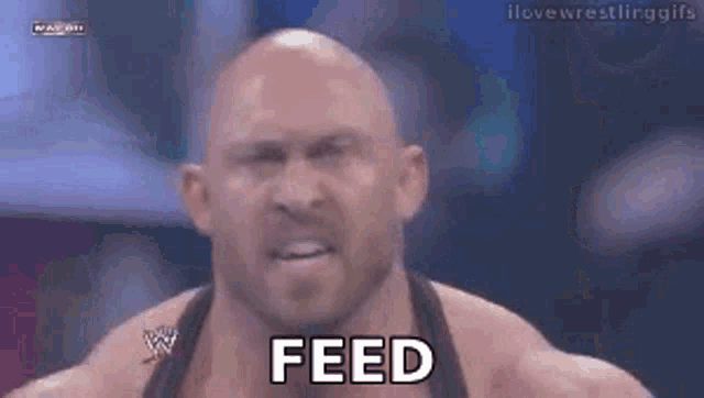 Wrestler Shouts 'Taco Feed Me More!'