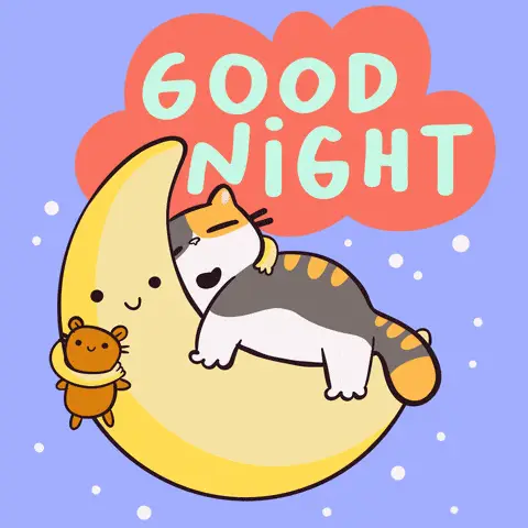 Good Night Cat Sleeping on Moon – free GIF download | meme platform | memes GIF