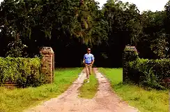 Forrest Gump's Iconic Run